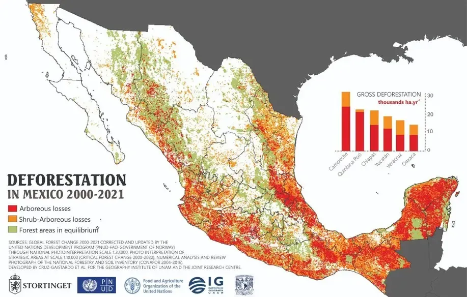 Deforestacion en mexico 2000-2021