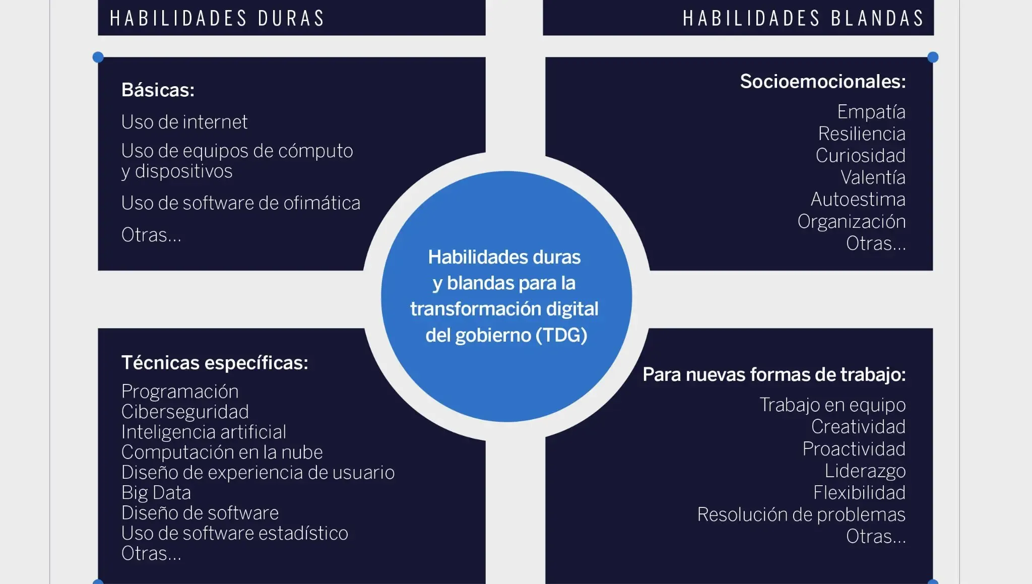 Transformacion Digital del Gobierno (TDG)